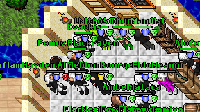 Kvackis on screen