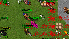 Ninjavez on screen