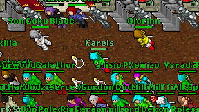 Karels on screen