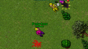 Palytox on screen