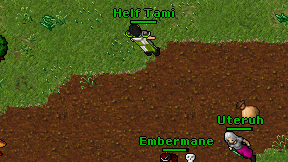 Helf Tami on screen