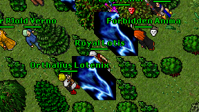 Royal Lotis on screen