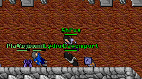 Shi'va on screen