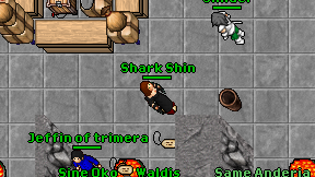 Shark Shin on screen