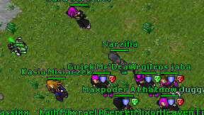 Narzilia on screen