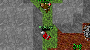 Veharu on screen