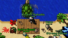 Archer'Paladin on screen