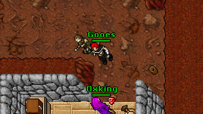 Gooes on screen