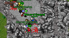 Wizard Guard on screen