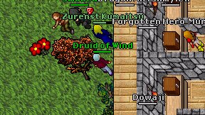 Druid of Wind on screen
