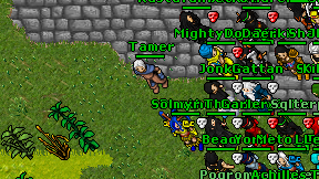 Tamer on screen
