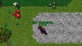 Sir Chourio on screen