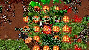 Litle Fighter Phil on screen