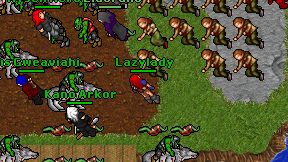 Lazylady on screen