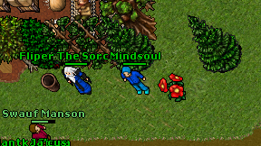 Mindsoul on screen