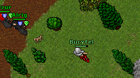 Bucyfel on screen