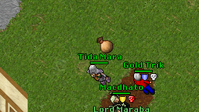 Tida Mara on screen