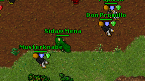 Sidaw Mena on screen