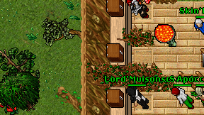 Lord'Muisonso on screen