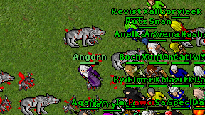 Angorn on screen