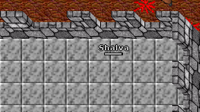 Shalva on screen