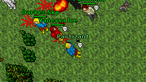 Partizant on screen