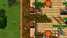 Lord Sierra on screen