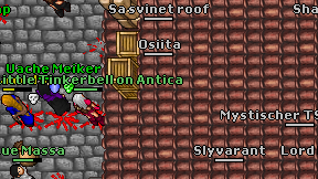 Osiita on screen