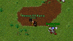 Venus Of Kyra on screen