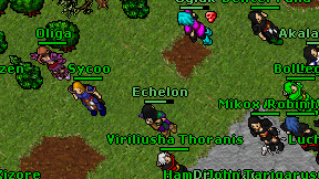 Echelon on screen