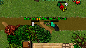 Amras Sharr on screen