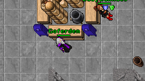 Goferden on screen