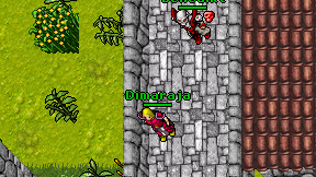 Dimaraja on screen