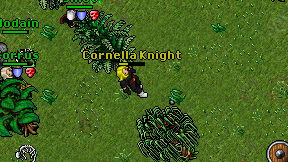 Cornella Knight on screen