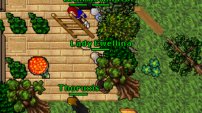 Lady Ewellina on screen