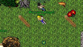 Wizzard Angel on screen