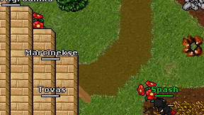 Marcinekse on screen