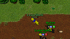 Leaa Sheli on screen