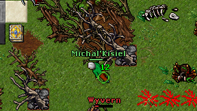 Michal'Kisiel on screen