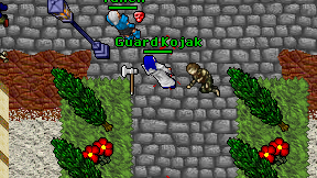 Guard Kojak on screen