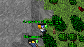 Arqueiro Misterioso on screen