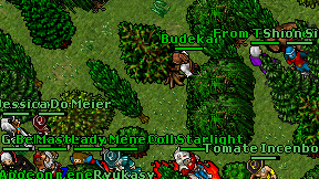 Budekai on screen