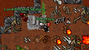 Floroflex on screen