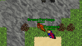 Bruno Portuga on screen