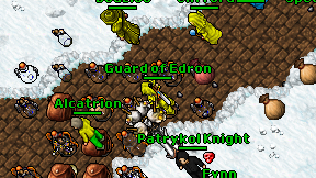 Guard of Edron on screen