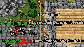 Earim Druid on screen