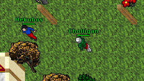 Cholligan on screen