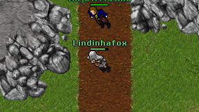 Lindinhafox on screen