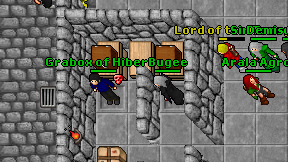 Bugee on screen