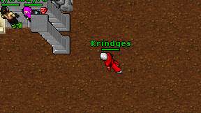 Krindges on screen